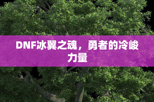 DNF冰翼之魂图片