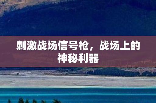 战场上的神秘利器图片