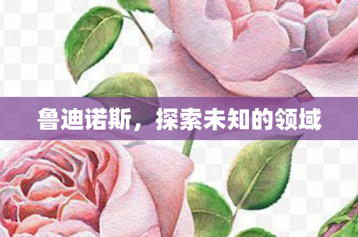 探索未知的领域图片