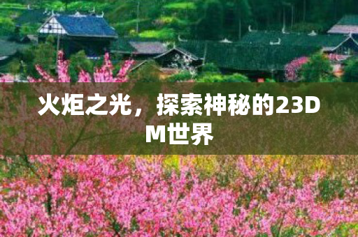 探索神秘的23DM世界图片