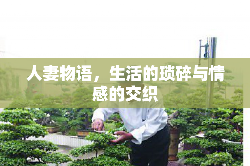 生活的琐碎与情感的交织图片
