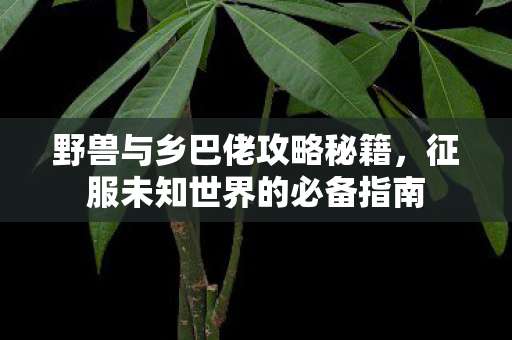 征服未知世界的必备指南图片