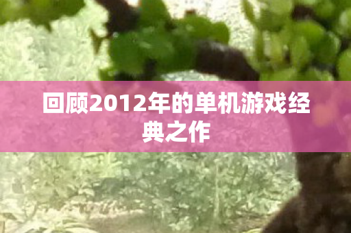 回顾2012年的单机游戏经典之作图片