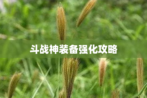 斗战神装备强化攻略图片
