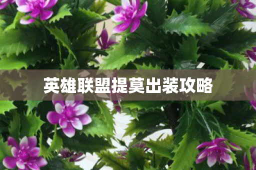 英雄联盟提莫出装攻略图片