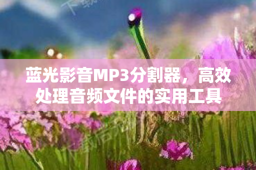 高效处理音频文件的实用工具图片