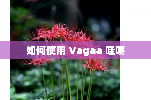 如何使用 Vagaa 哇嘎图片