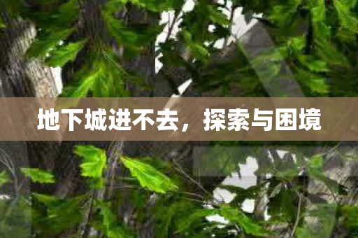 地下城进不去图片