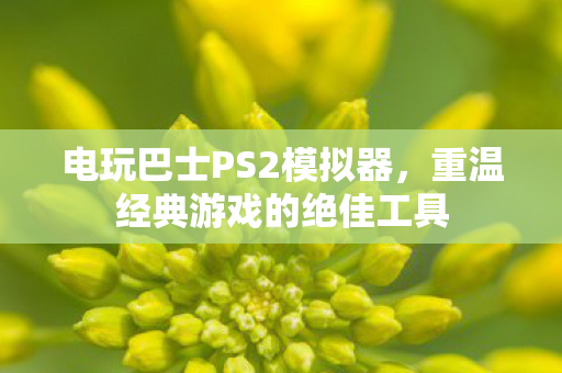 重温经典游戏的绝佳工具图片