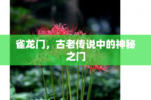 古老传说中的神秘之门图片