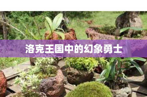 洛克王国中的幻象勇士图片