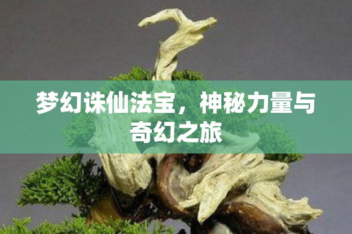 神秘力量与奇幻之旅图片
