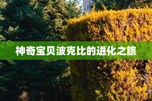 神奇宝贝波克比的进化之旅图片