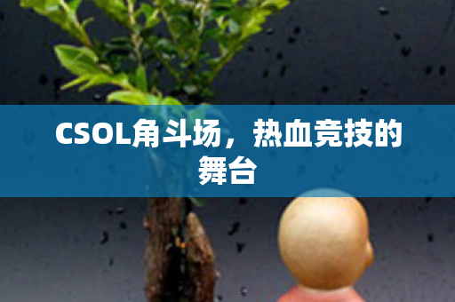 CSOL角斗场图片