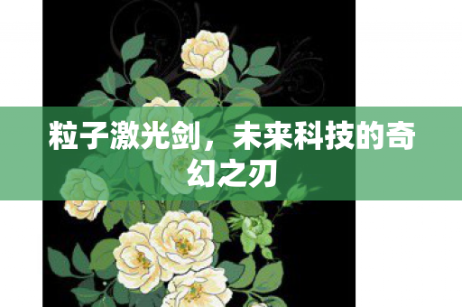 未来科技的奇幻之刃图片