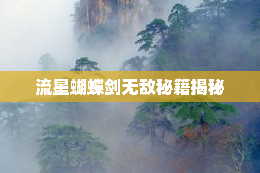 流星蝴蝶剑无敌秘籍揭秘图片