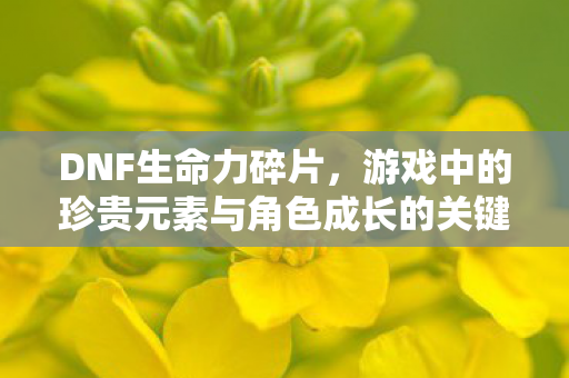 游戏中的珍贵元素与角色成长的关键图片
