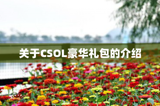 关于CSOL豪华礼包的介绍图片