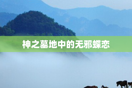 神之墓地中的无邪蝶恋图片