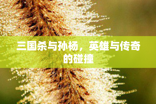 英雄与传奇的碰撞图片