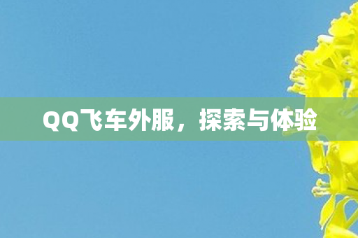 QQ飞车外服图片