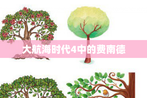 大航海时代4中的费南德图片