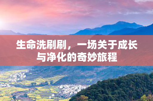 一场关于成长与净化的奇妙旅程图片