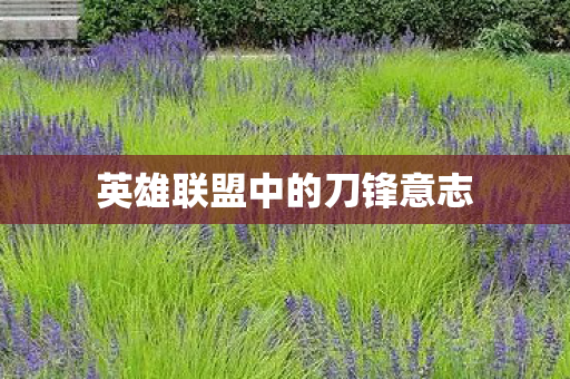 英雄联盟中的刀锋意志图片