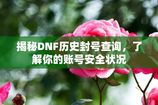 揭秘DNF历史封号查询图片