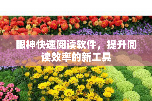 提升阅读效率的新工具图片