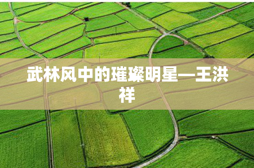 武林风中的璀璨明星图片