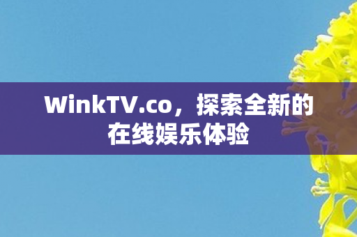 探索全新的在线娱乐体验图片