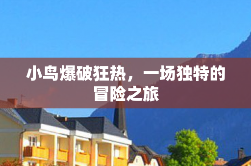 一场独特的冒险之旅图片