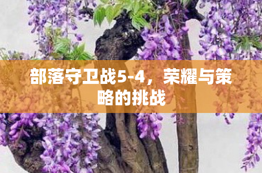荣耀与策略的挑战图片
