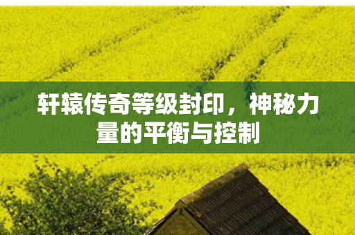 神秘力量的平衡与控制图片