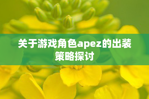关于游戏角色apez的出装策略探讨图片