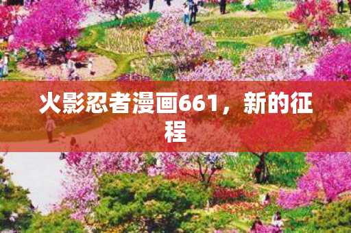 火影忍者漫画661图片
