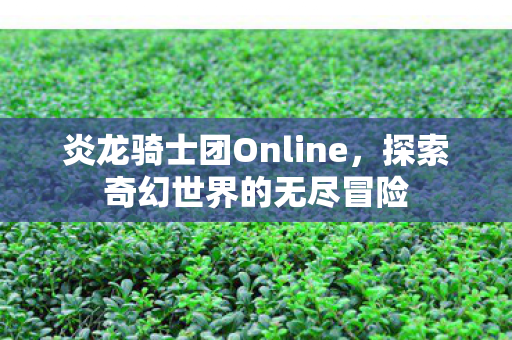 炎龙骑士团Online图片