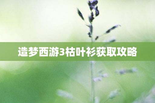 造梦西游3枯叶衫获取攻略图片