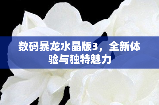 全新体验与独特魅力图片