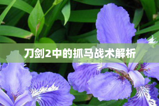 刀剑2中的抓马战术解析图片