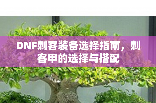 DNF刺客装备选择指南图片