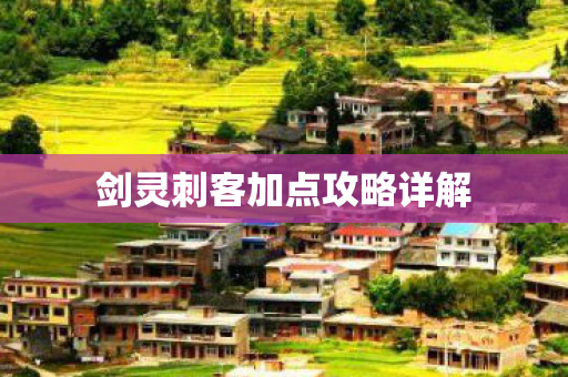 剑灵刺客加点攻略详解图片
