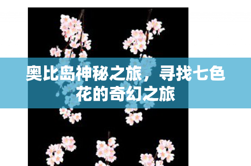 寻找七色花的奇幻之旅图片
