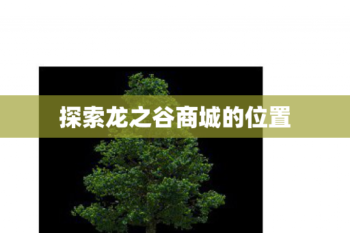 探索龙之谷商城的位置图片