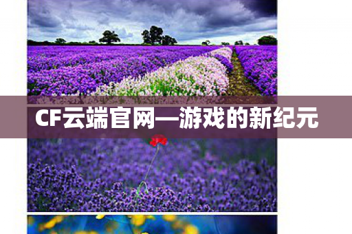 CF云端官网图片