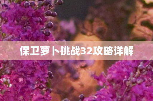 保卫萝卜挑战32攻略详解图片