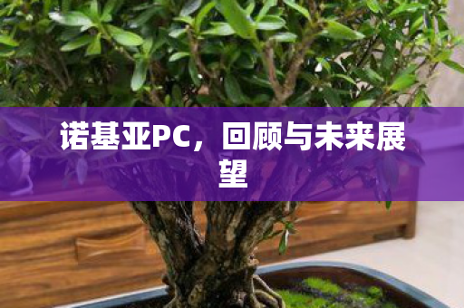 回顾与未来展望图片