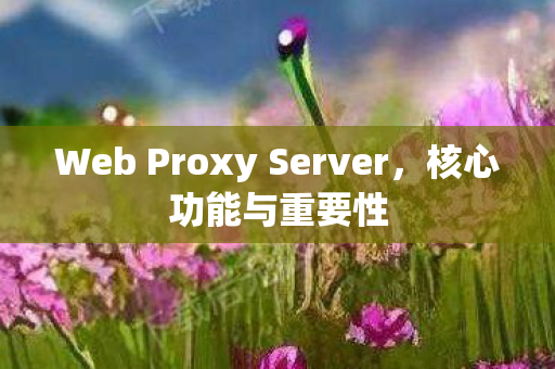 Web Proxy Server图片