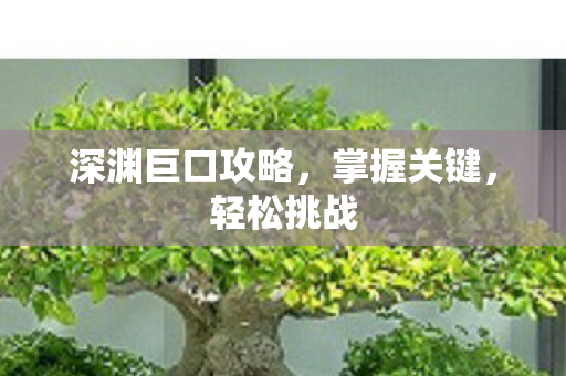 深渊巨口攻略图片